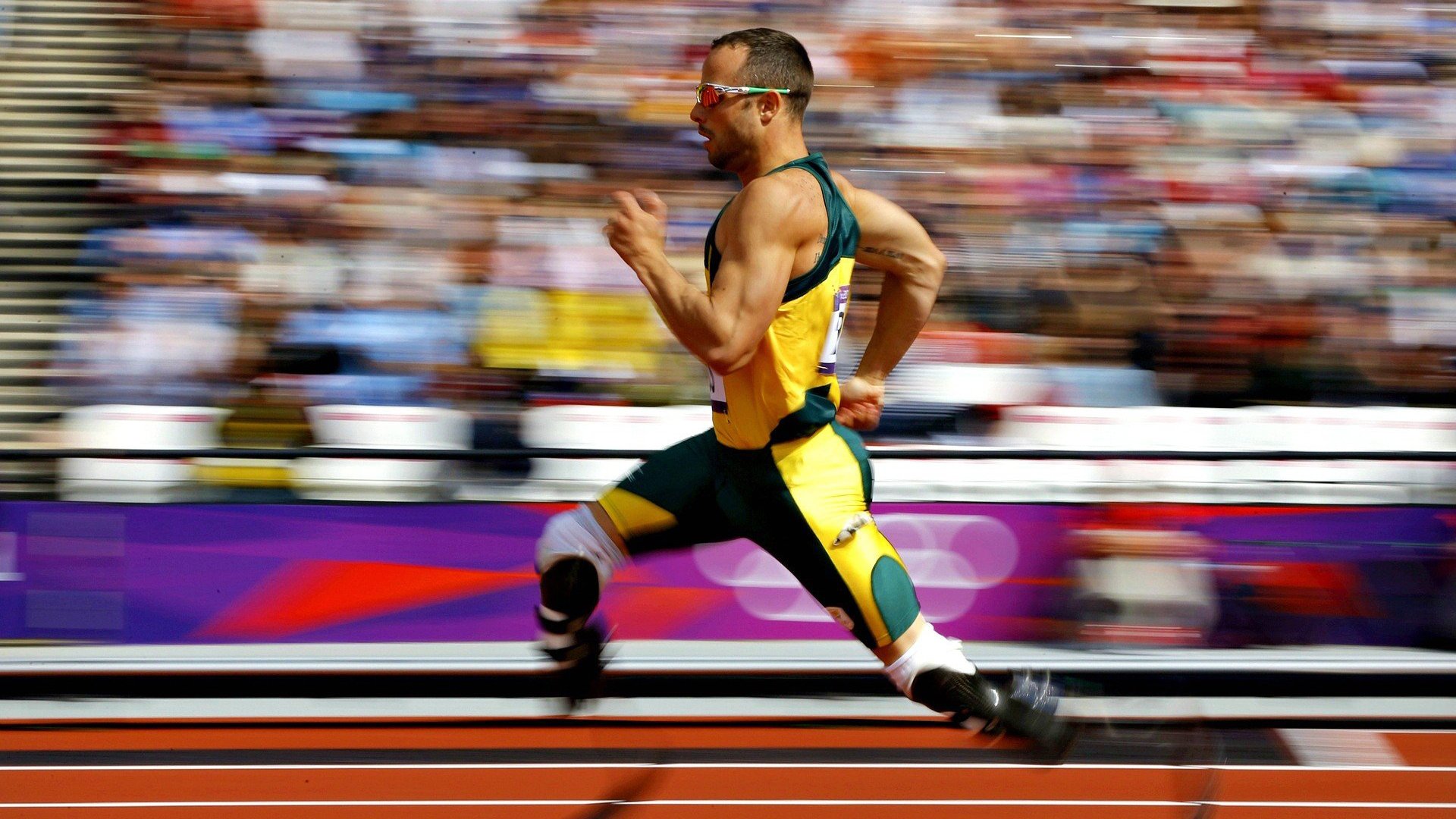 全国青年运动会赛况：新秀表现抢眼成媒体焦点，全国青年运动会会标